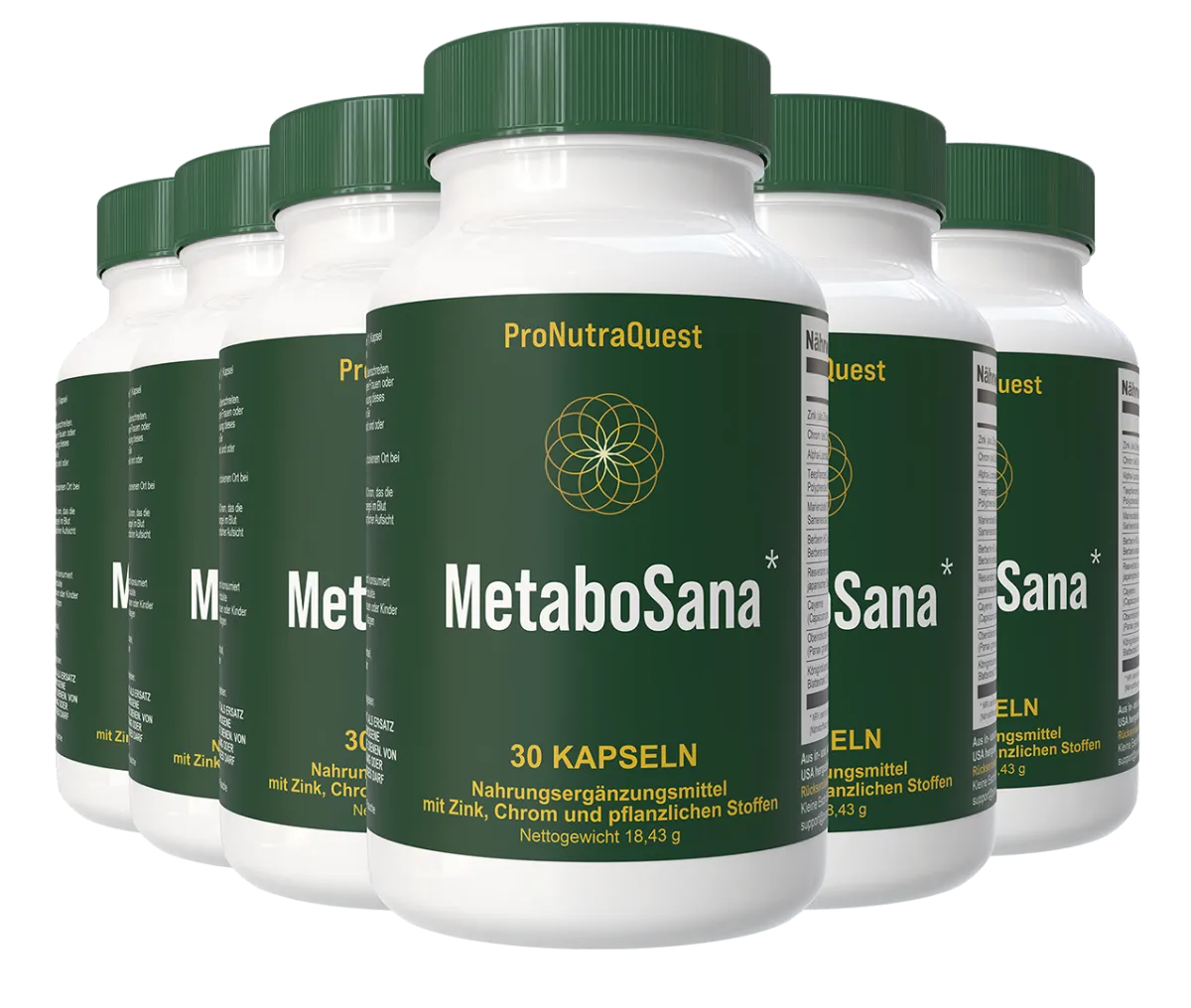 MetaboSana 6 Flaschen